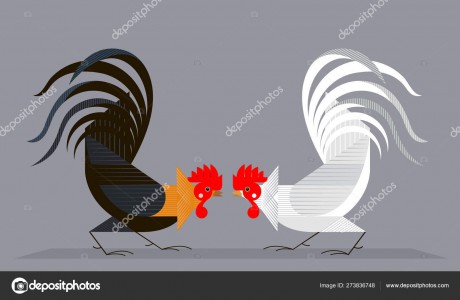 depositphotos_273836748-stock-illustration-cockfighting