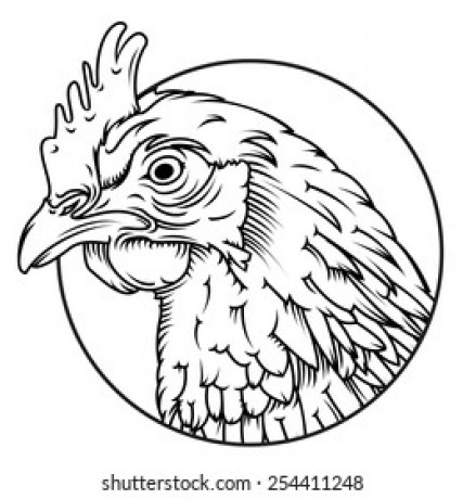 vector-chicken-head-line-drawing-260nw-254411248