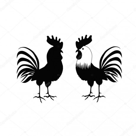 depositphotos_119005958-stock-illustration-cocks-in-hand-drawing-style