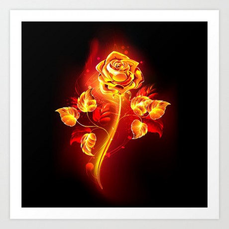 fire-rose1544878-prints