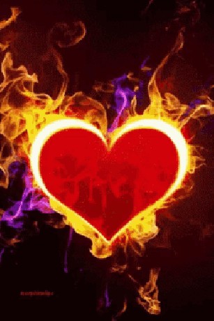 hotlove-burningloveily