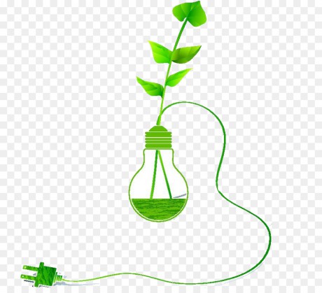 kisspng-green-incandescent-light-bulb-bulb-of-green-plants-5a99859b87db88.2390717115200106515565