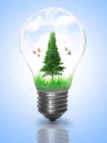 depositphotos_52141093-stock-photo-natural-energy-concept-lightbulb-with