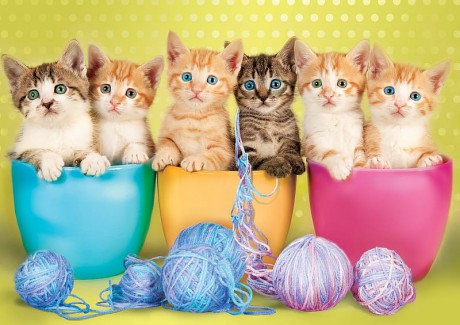 HD-wallpaper-kittens-yellow-cat-animal-sweet-cute-wool-ball-kitten-pink-bowl-pisica-blue