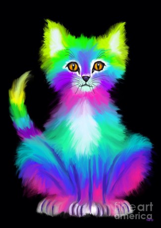 colorful-kitty-nick-gustafson