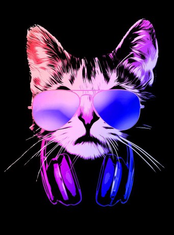 cool-dj-cat-in-neon-lights-filip-hellman