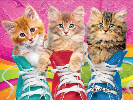 HD-wallpaper-kittens-yellow-pink-kitten-cat-pisici-blue-shoes-colorful-animal-cute