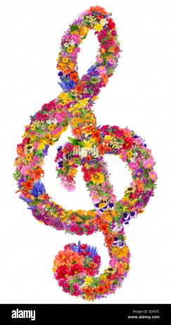 abstract-sign-of-a-musical-treble-clef-made-from-flowers-isolated-EJX53C