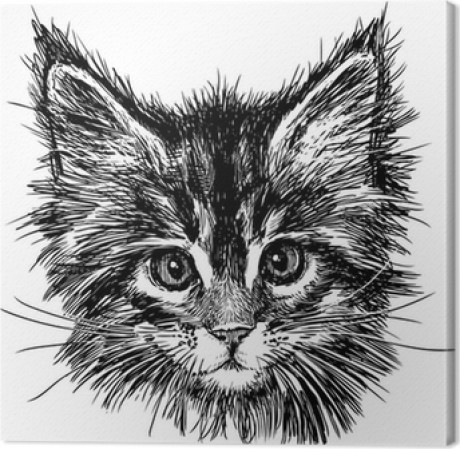obrazy-na-plotnie-portret-kota