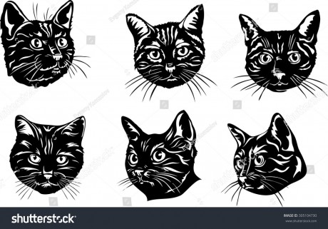stock-vector-the-face-of-a-black-cat-vector-the-image-of-a-cat-face-cat-portrait-black-silhouette-of-cat-305104730