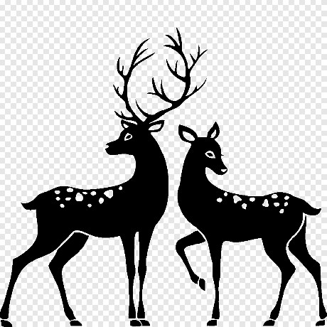 png-clipart-reindeer-white-tailed-deer-christmas-reindeer-antler-mammal