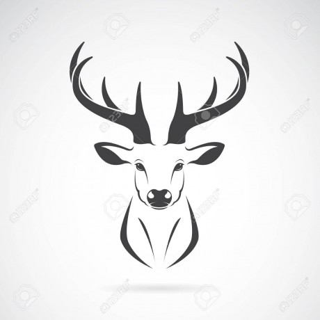 51299778-deer-head-design-on-white-background