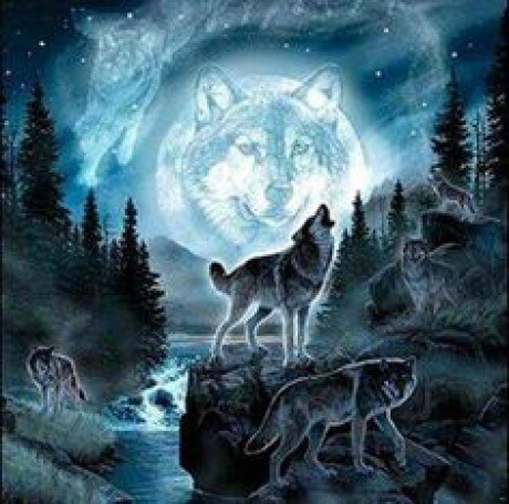 69fc80d5277ede75ff4cb03f3aaee4af--wolf-painting-rever