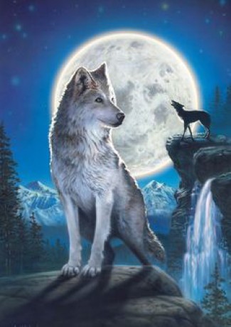 689dfe2fcba84554747f159f5cb772ad--wolf-puppies-wolf-artwork