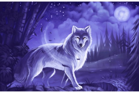 wolf-drawing-picture-thypix-34-700x470