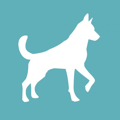 dogpoint-logo-pes.png-d34674c681a9b857150652de7a32e3c8