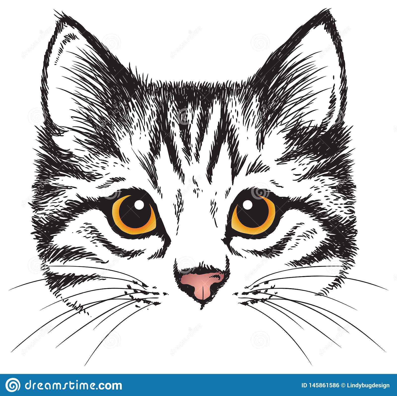 bosquejo-del-vector-de-la-cara-un-gatito-el-una-estilizada-s-145861586