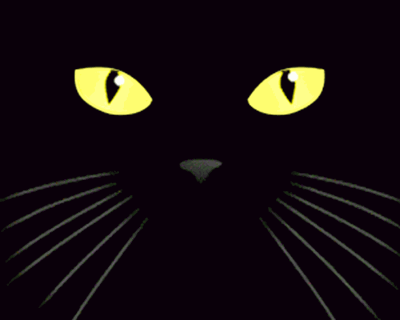 imagen-black-cat-live-wallpaper-0big.jpg