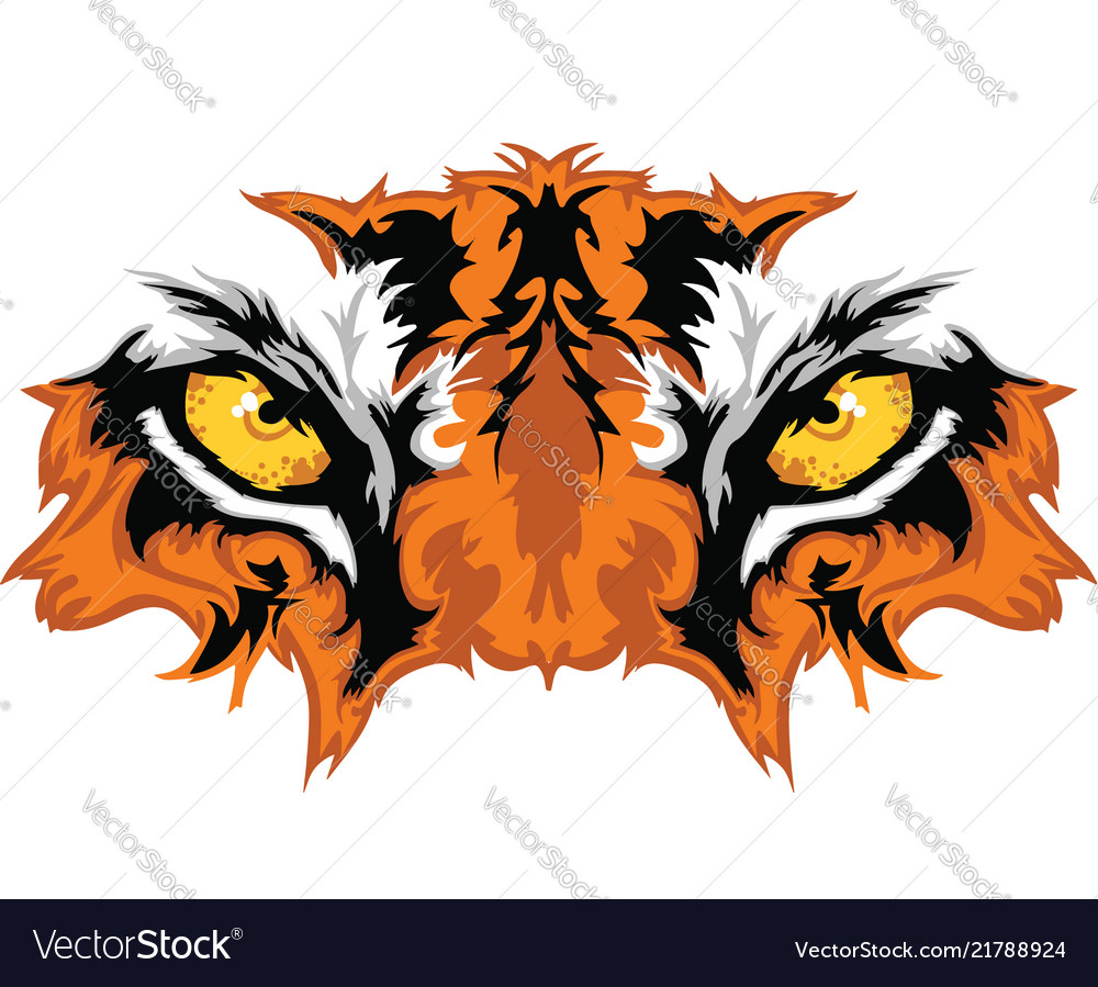 tiger-eyes-vector-21788924