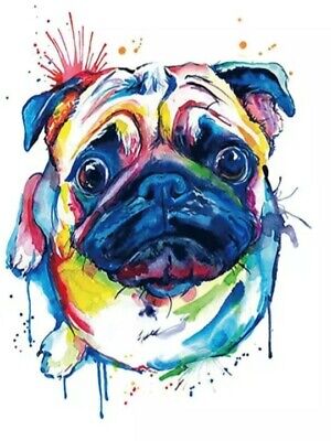 LARGE-RAINBOW-PUG-Temporary-Tattoo-