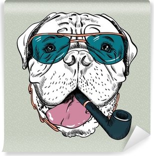 fototapety-wektor-smieszne-kreskowki-hipster-pies-bullmastiff