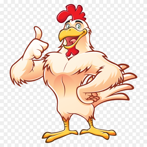 Cartoon-chicken-on-transparent-background-PNG