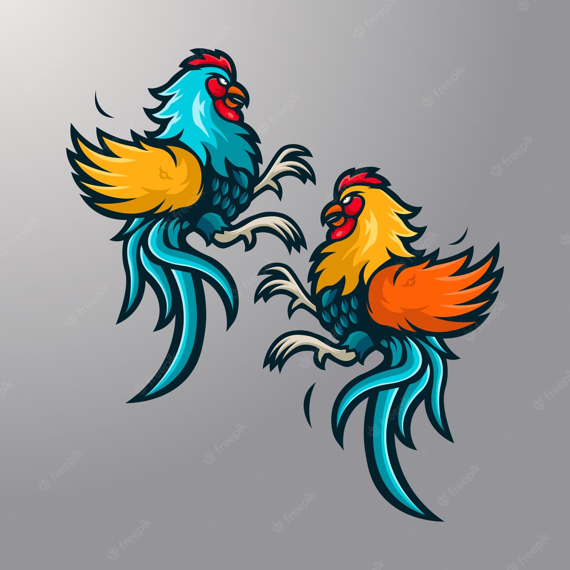 ilustracion-gallo-pelea_268458-309