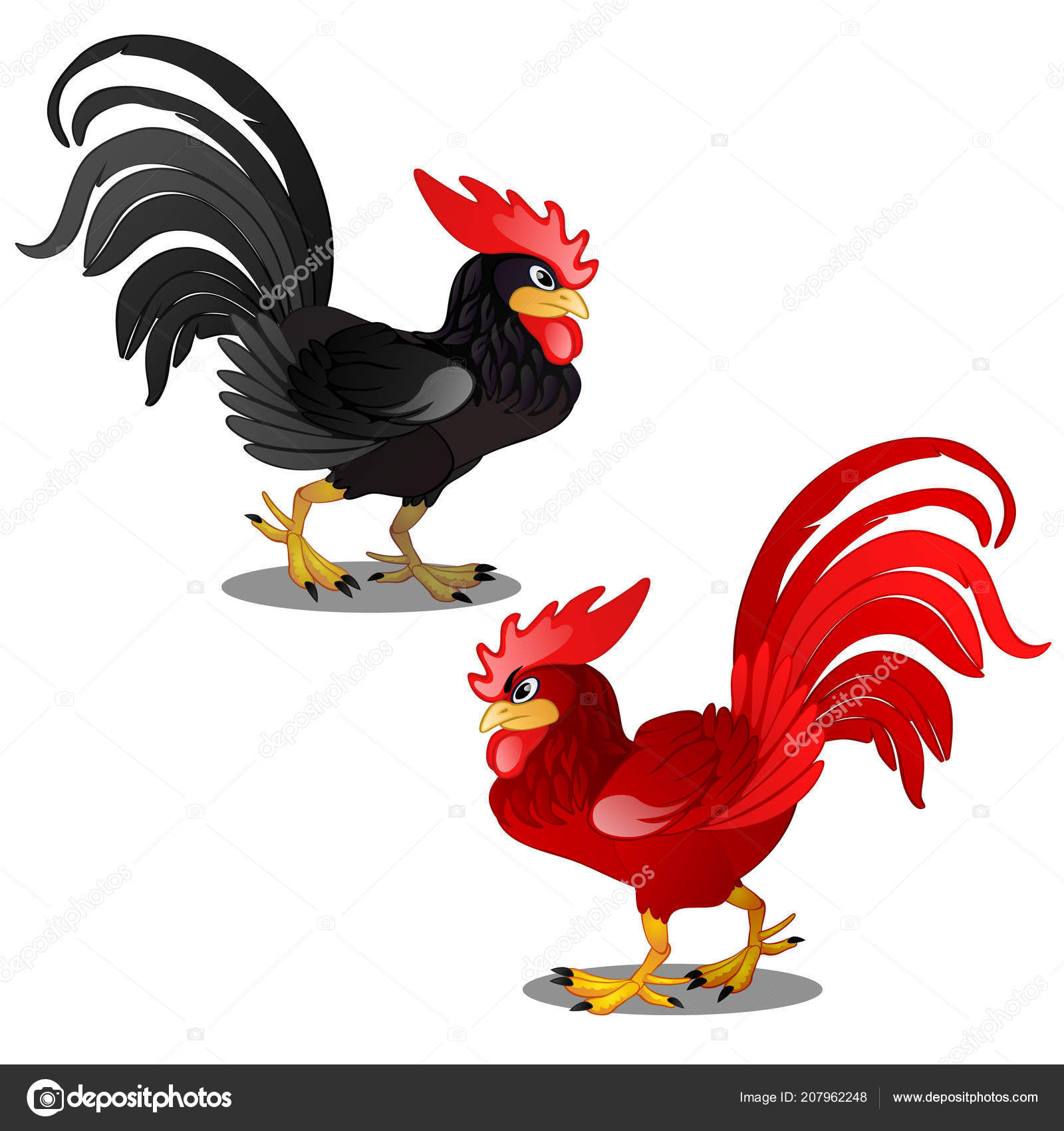 depositphotos_207962248-stock-illustration-two-animated-cartoon-rooster-black