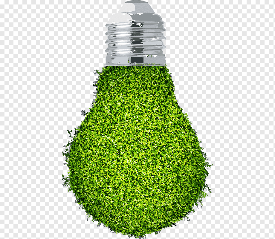 png-transparent-green-light-bulb-green-light-bulb-plant