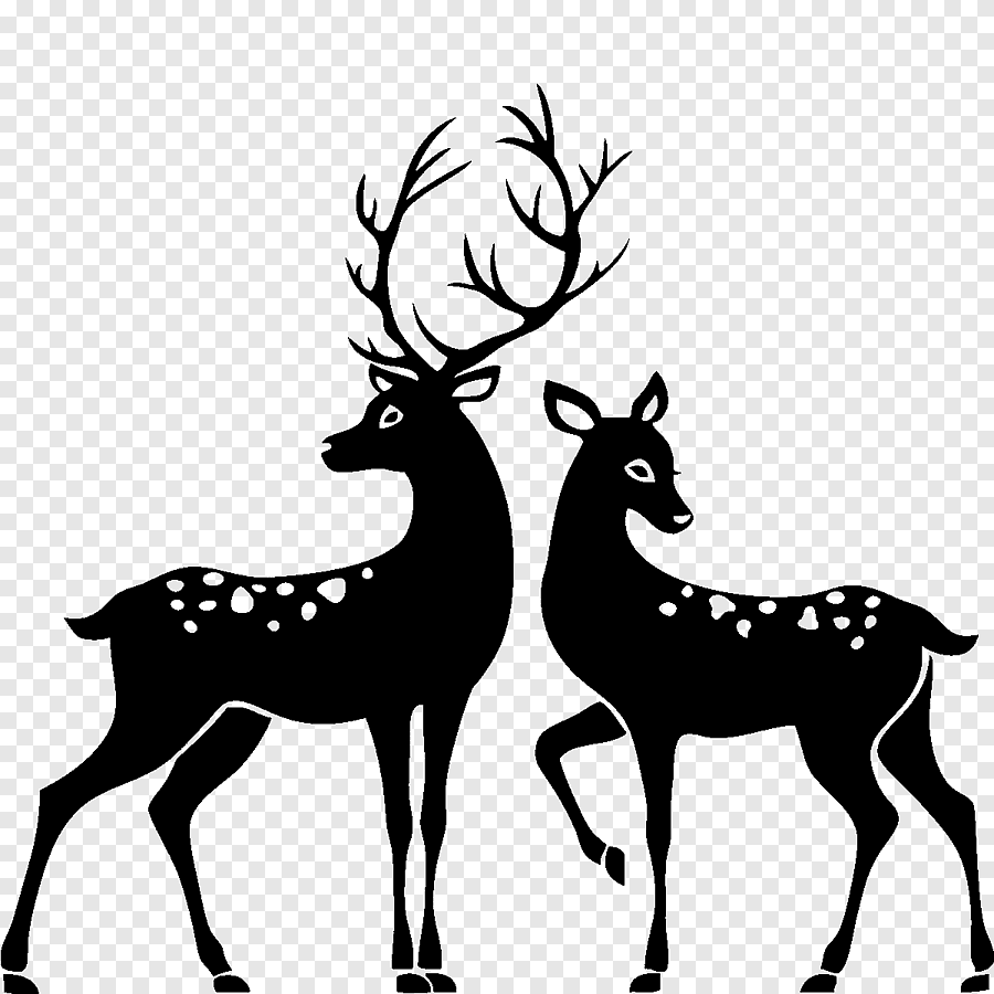 png-clipart-reindeer-white-tailed-deer-christmas-reindeer-antler-mammal